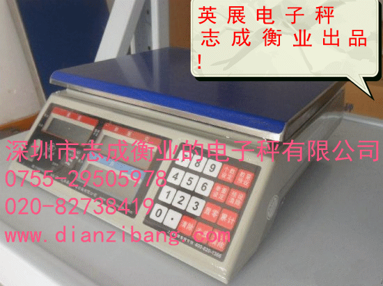英展电子秤_副本