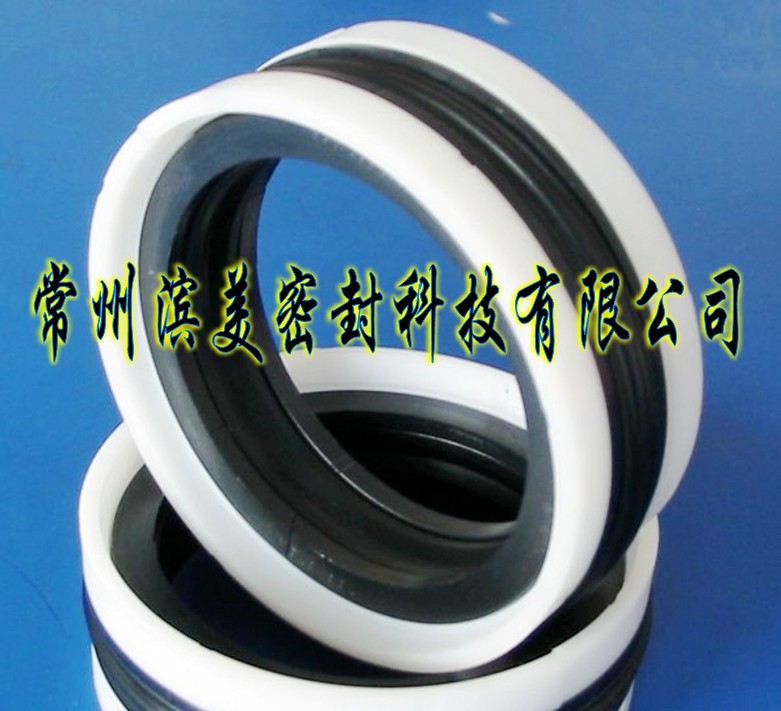 DAS活塞组合密封