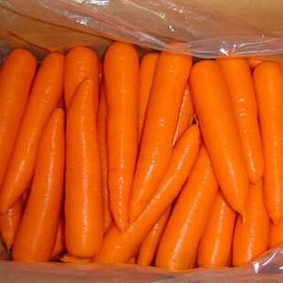 Поставлять свежие овощи, свежие овощи, морковь