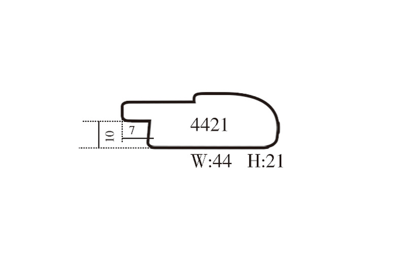 4421截面