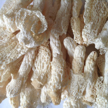 ��؛ �������� �t�����p(Ҏ��8-12cm)