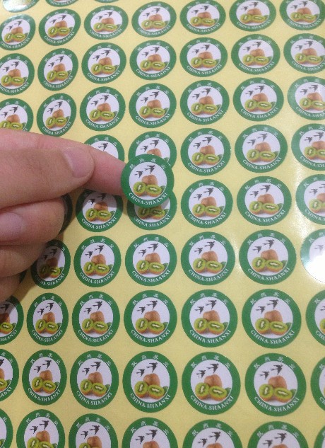 供应不干胶标签，水果标签贴，猕猴桃标签贴