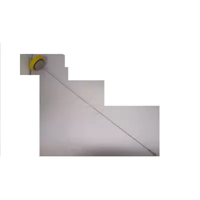 55557302