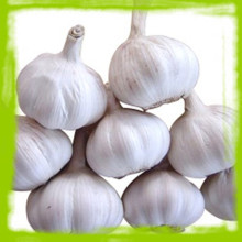 大蒜多糖价格_今日最新大蒜多糖价格行情走势