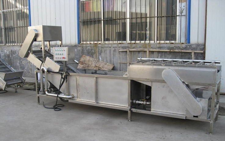 供应天翔果蔬清洗机   品质保证蔬菜水果清洗机 果蔬清洗机