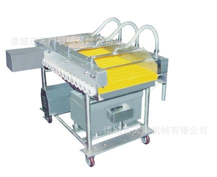 中药材清洗去杂机蔬菜水果清洗机果蔬清洗机售后保障多功能鲜果