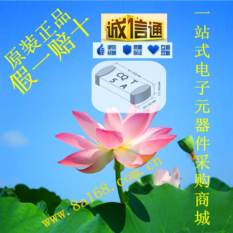 现货供应CONQUER/功得 CQ24LT001 1A350V 慢断保险丝 2410规格