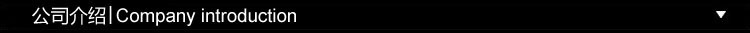 公司介绍