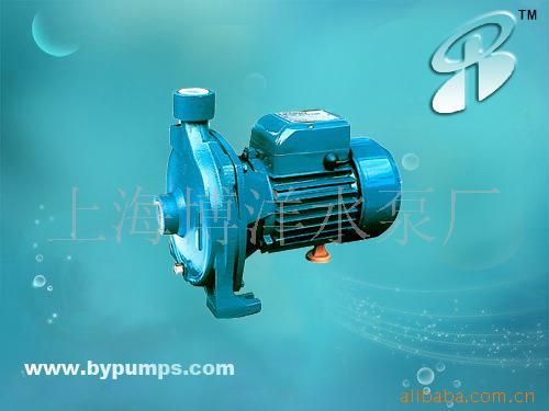 CPM不锈钢清水泵，单级清水自吸泵，家用泵