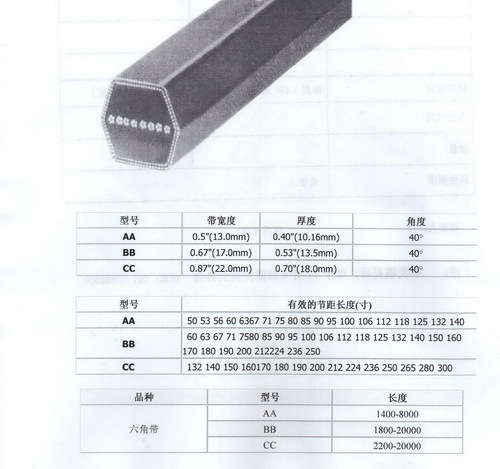 ������ɫ�к��VECTOR POWER �������Ǵ� ���������Ǵ� BB��