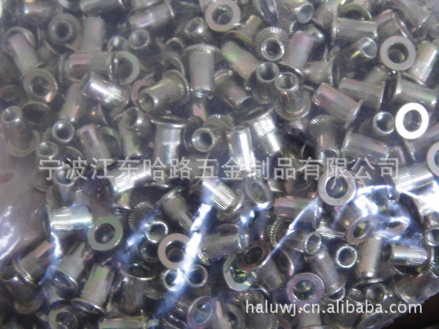 不锈钢铆螺母/铝螺母/夹板铝空心螺钉/家具螺母