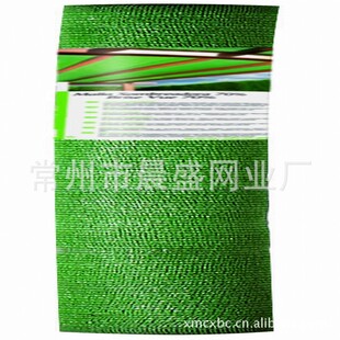 BSCI���|����ݗ��Gɫ�o�Y�W Ʒ�|���C