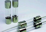 5F10A250V加双帽玻璃管保险丝