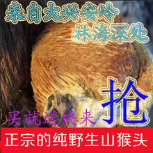 Ұ�����^���d���X���^��������Ұ�����^500g���]�Y��