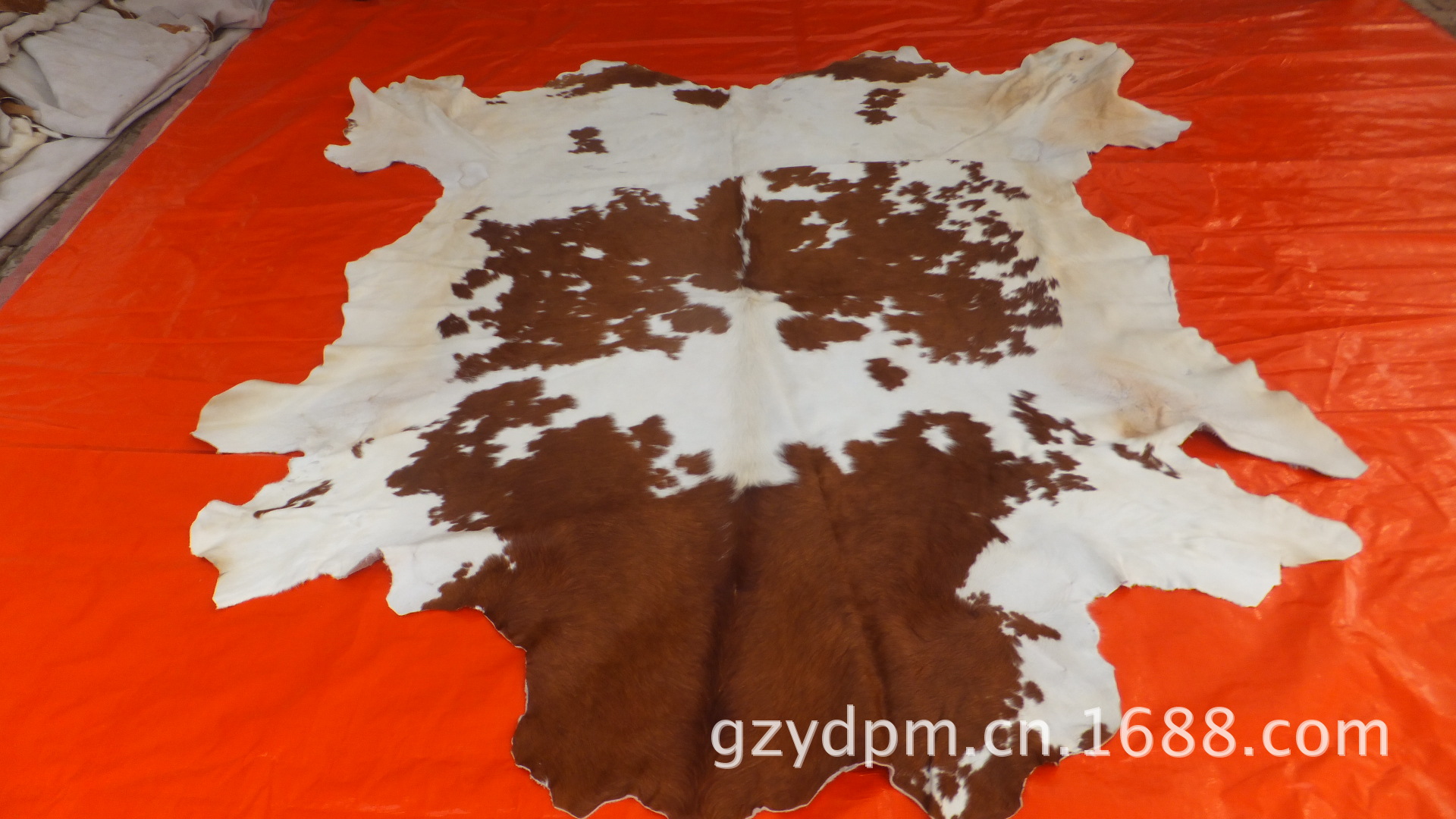 原色花纹整张奶牛皮革兽皮地毯书房挂画背景画装饰墙壁画牛皮料