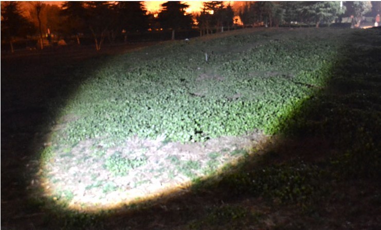 872069086_1692191087