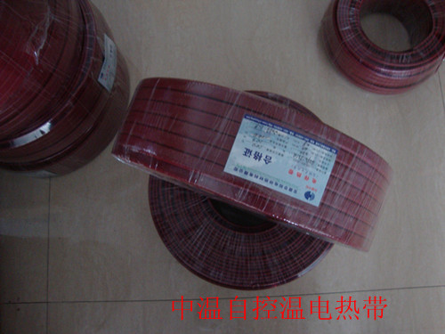 explosion-proof Tropical zone ZKWZFP1F-0.8 \ 40W/m 220V Cable Natural gas The Conduit Tropical zone