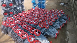 �~о�l�y ��׼ȫ�~ Z45T-10 DN65 �S��ֱ�N �|���r��