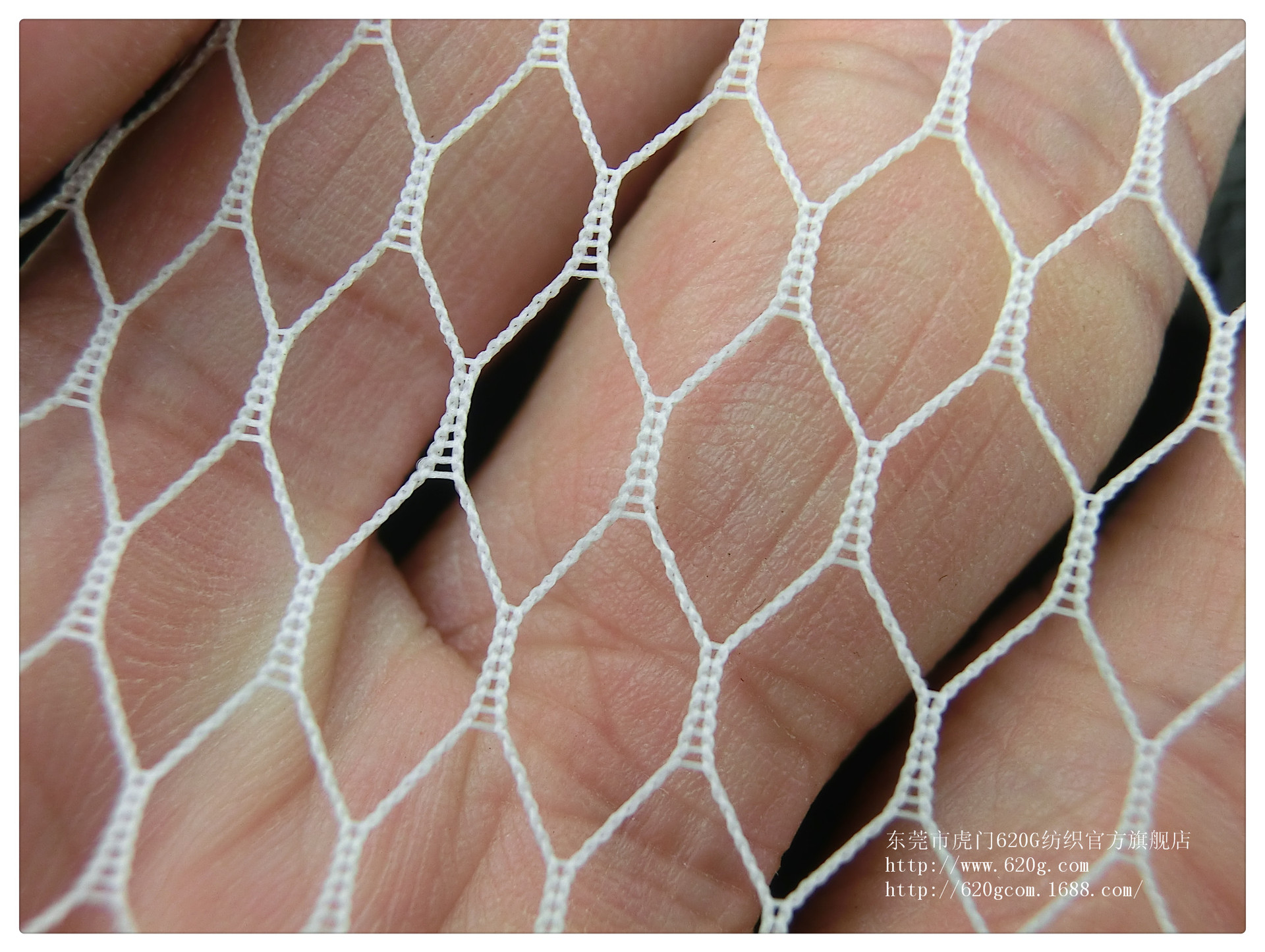供应透明白色大六角网布 白色网眼布