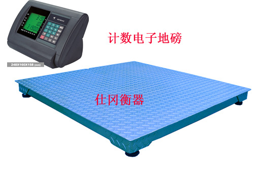 计数电子地磅仕冈