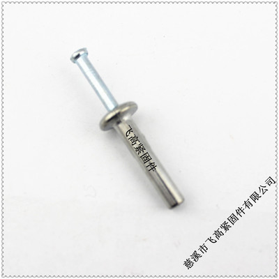 锌合金打入式壁虎 配铁钉 6X40|ms