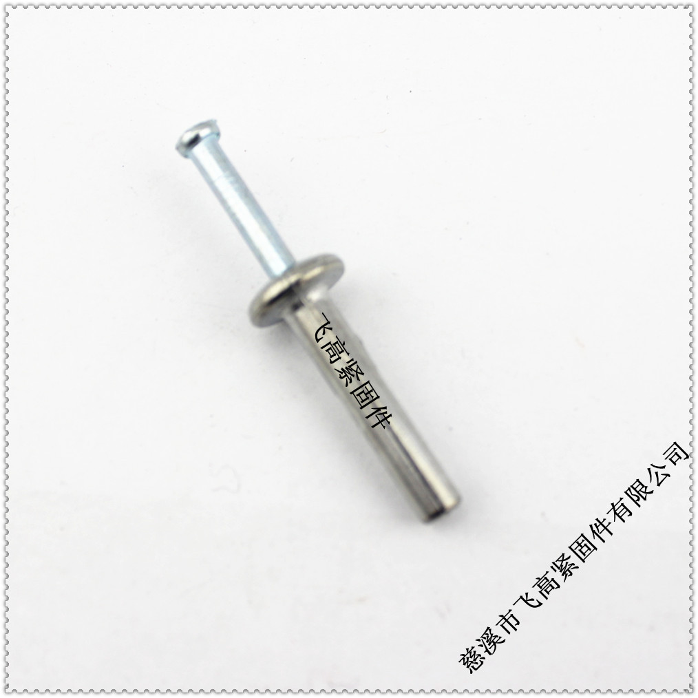 锌合金打入式壁虎 配铁钉 6X40|ms