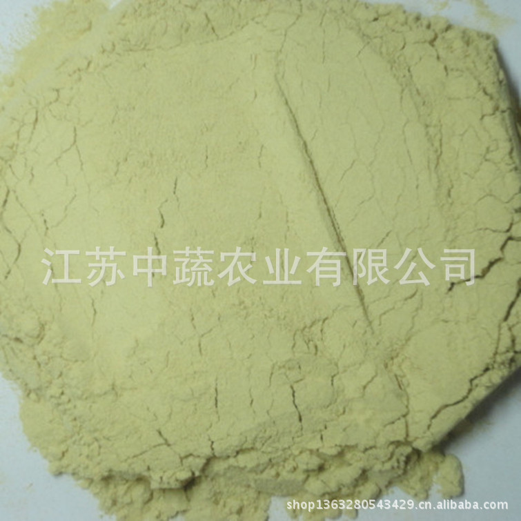 常年供应脱水生姜粉  规格80-100目  黄姜粉 老姜粉