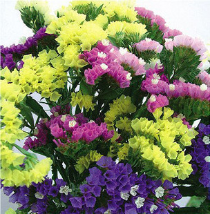 �ɻ��� �ſ�ؓ�x�� �Gɫ�Nֲ �@ˇ������ ���ܻ��� �����ҷN��