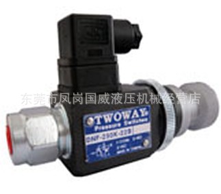 ��Ӧ̨��TWOWAY��еѹ������  DNF-250K-22BҺѹ����Ԫ��