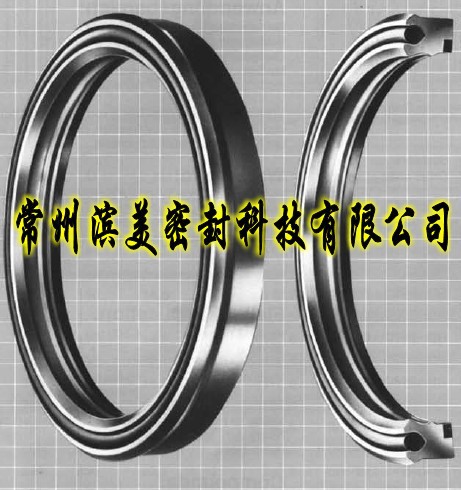 BD密封圈 轴用密封圈 油缸用密封圈 高压油缸密封圈