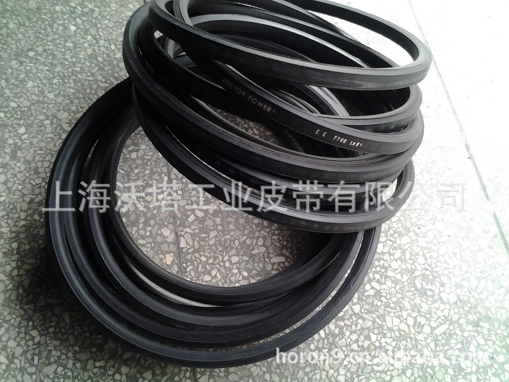 ������ɫ�к��VECTOR�������Ǵ� ���������Ǵ� CC��