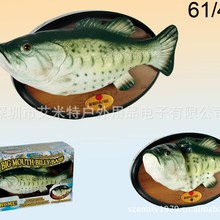 小型热带鱼_上海锦豪观赏鱼养殖场大量批发热