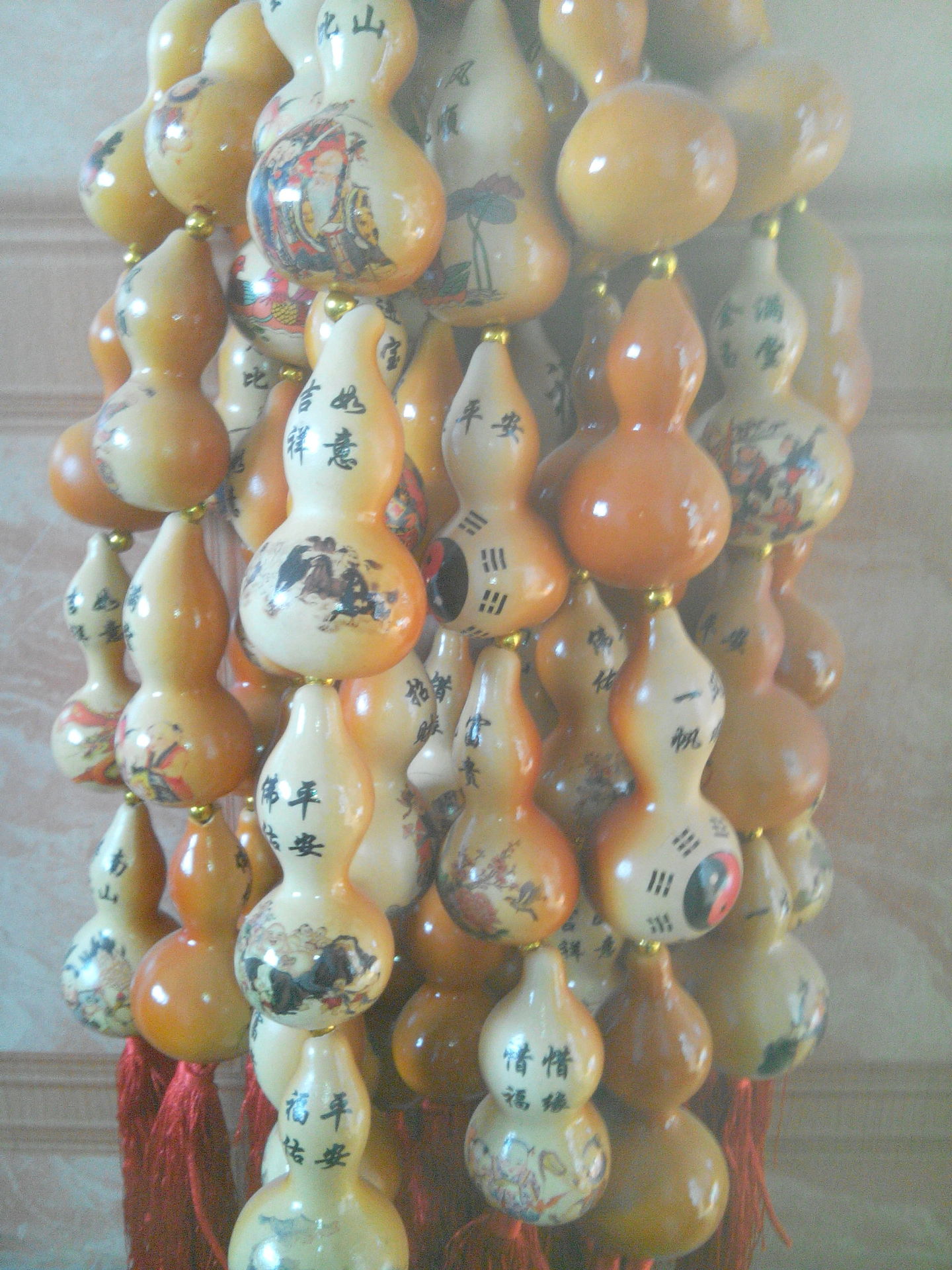 IMG_20130309_133735_1