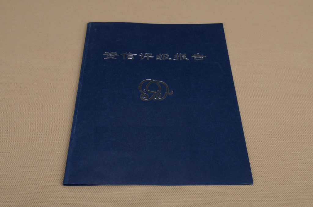 厂家生产保单加工 报告封面 体检报告 保险合同加工 装订