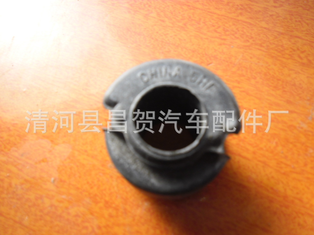 SAM_0310