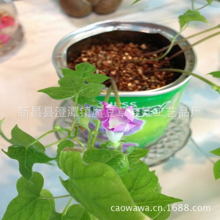 QQ圖片20130731142945