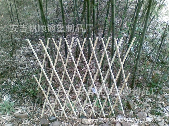 psbCAQ2OKTI