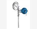 WTYY series Remote Metal thermometer
