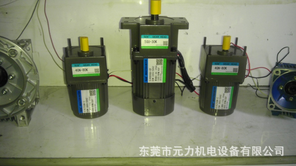 （高品质高效率）瑞踊微型调速电机感应减速AC/DC交直流电机马达