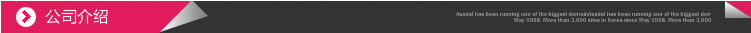 公司介绍模板1