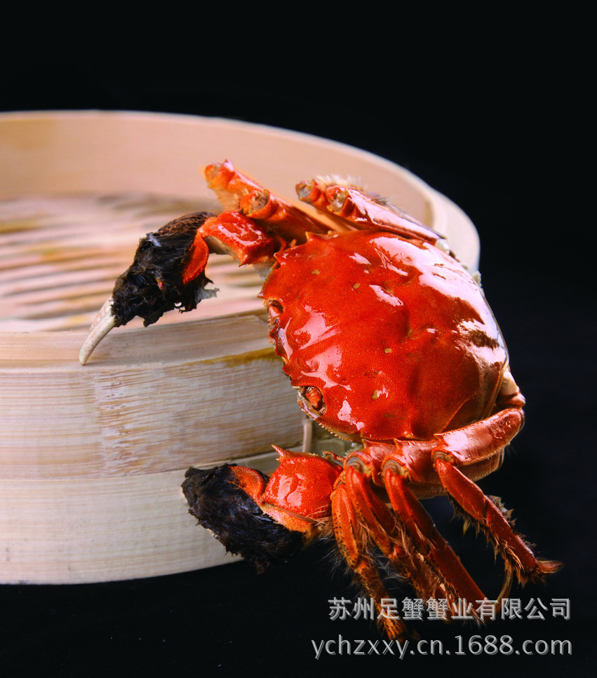 大闸蟹鲜活螃蟹 公母大闸蟹 4.5两公 3.5两母 共8只顺丰包邮