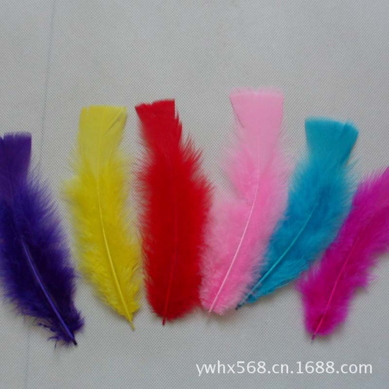 供应质量保证70-200多色可选天然羽毛工艺品彩色饰品火鸡毛鸡毛|ms