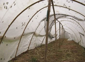 厂家供应  果园大棚专用防虫网  农用防虫网 规格齐全  保证质量|ms