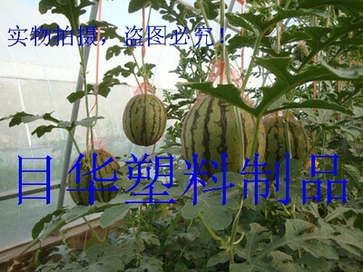 大棚吊瓜网袋 塑料网 网袋网眼袋 无结网 塑料网袋 网袋网扣