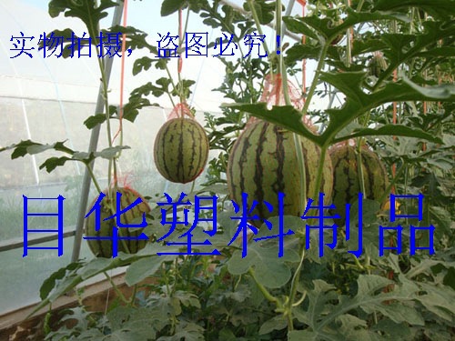 大棚吊瓜网袋 塑料网 网袋网眼袋 无结网 塑料网袋 网袋网扣