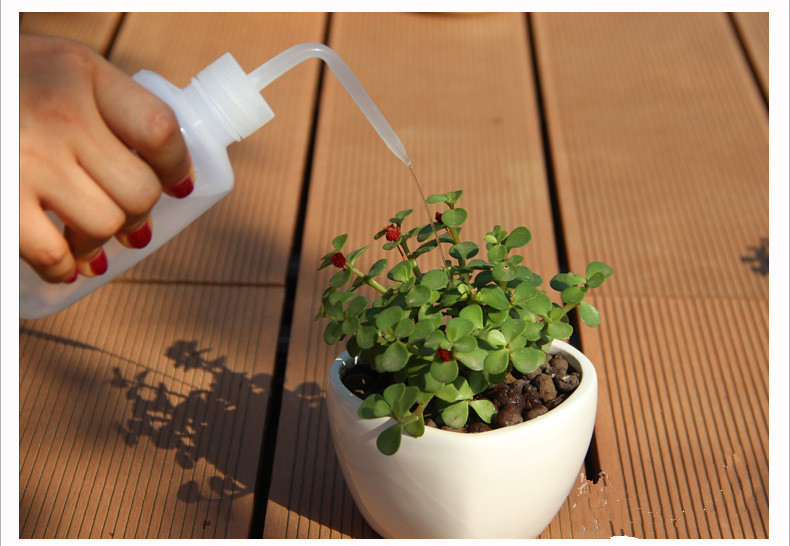 T2C8VXXBtXXXXXXXXX_!!327144963