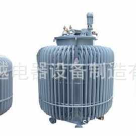 上海领越电器设备供应电机电器试验专用油浸式调压器厂家批发