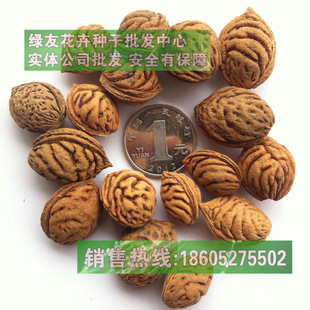 �������̈@�־G��Ұ�Ҙ�N��ë�Һ��Ҙ���ɽ�Ҽ޽��ľ�����N��