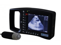 09-39-23-93-221.jpg.middle