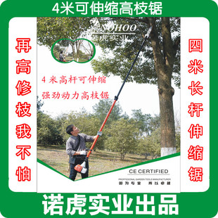 4�׿���s��֦� 5.2m�L�U��֦��� �߿������ �@����֦���